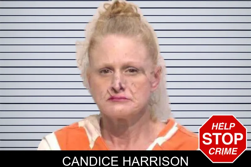 Candice Harrison mugshot – Bartow County , Georgia Candice Harrison mugshot