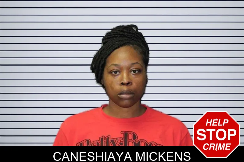 Caneshiaya Mickens mugshot – Thomas County , Georgia Caneshiaya Mickens mugshot