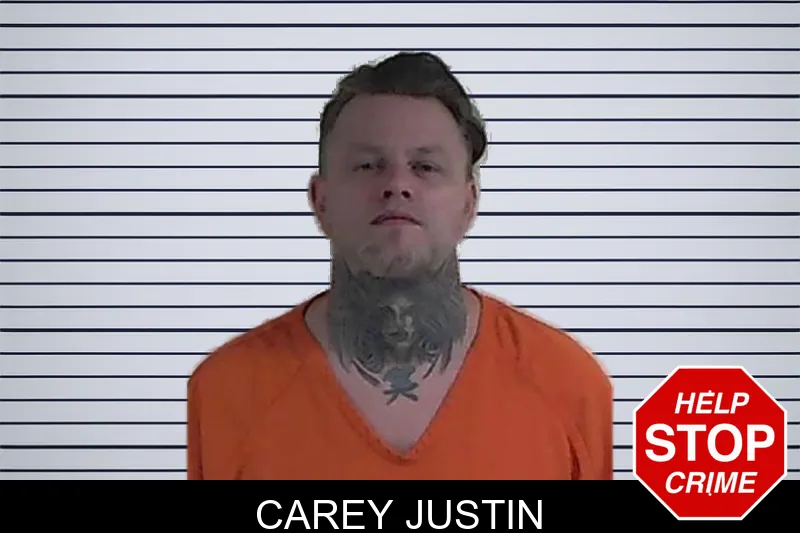 Carey Justin mugshot – Fannin County , Georgia Carey Justin mugshot