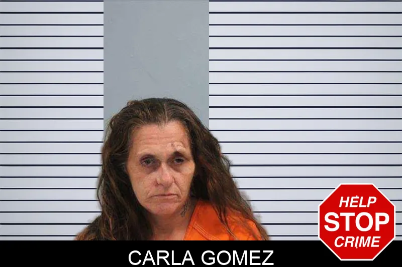 Carla Gomez mugshot – Grady County , Georgia Carla Gomez mugshot