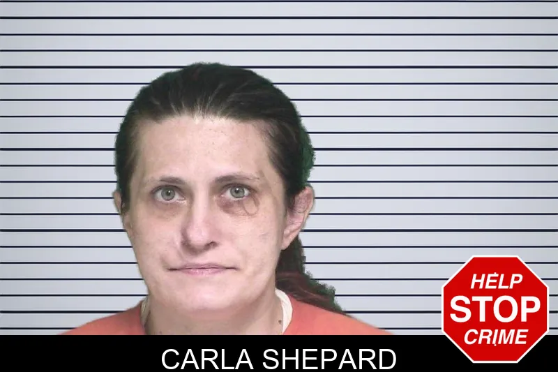 Carla Shepard mugshot – Appling County , Georgia Carla Shepard mugshot