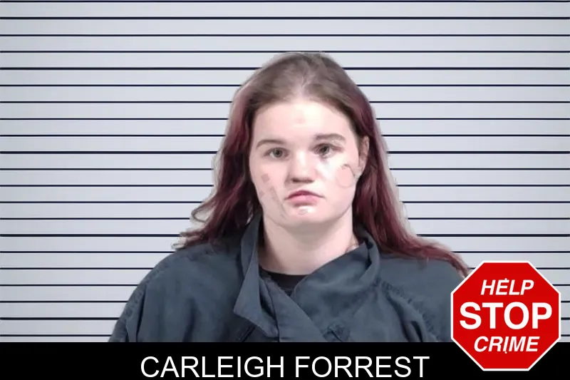 Carleigh Forrest mugshot – Lowndes County , Georgia Carleigh Forrest mugshot
