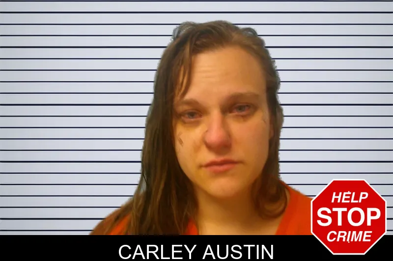 Carley Austin mugshot – Franklin County , Georgia Carley Austin mugshot