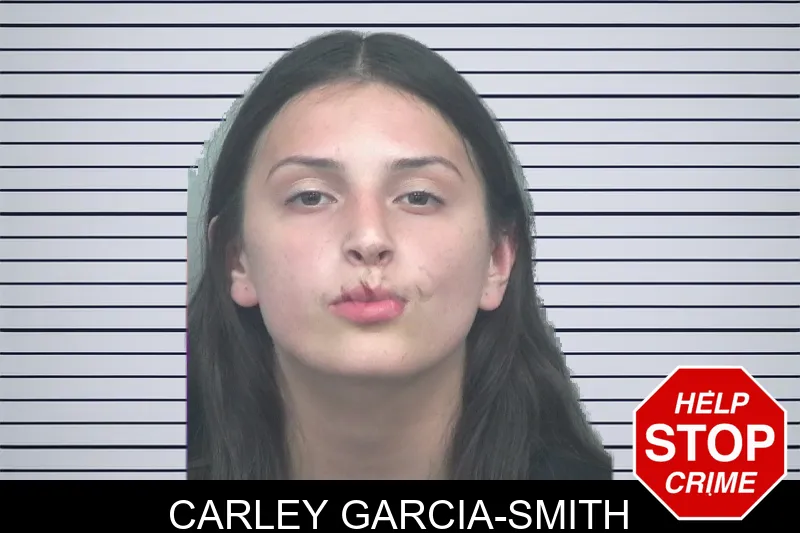 Carley Garcia-Smith mugshot – Gwinnett County , Georgia Carley Garcia-Smith mugshot