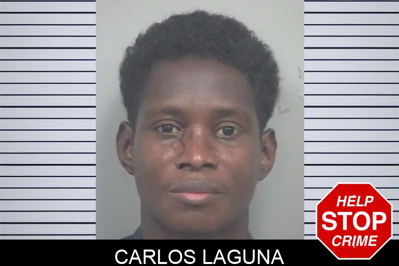 Carlos Laguna mugshot – Gwinnett County , Georgia Carlos Laguna mugshot