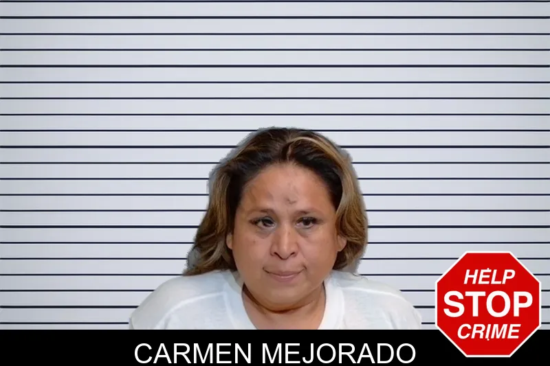 Carmen Mejorado mugshot – Glynn County , Georgia Carmen Mejorado mugshot