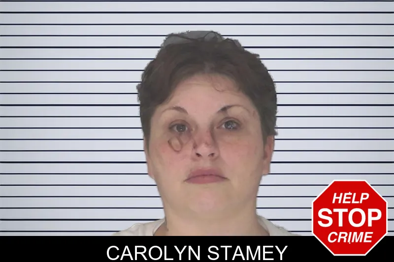 Carolyn Stamey mugshot – Douglas County , Georgia Carolyn Stamey mugshot