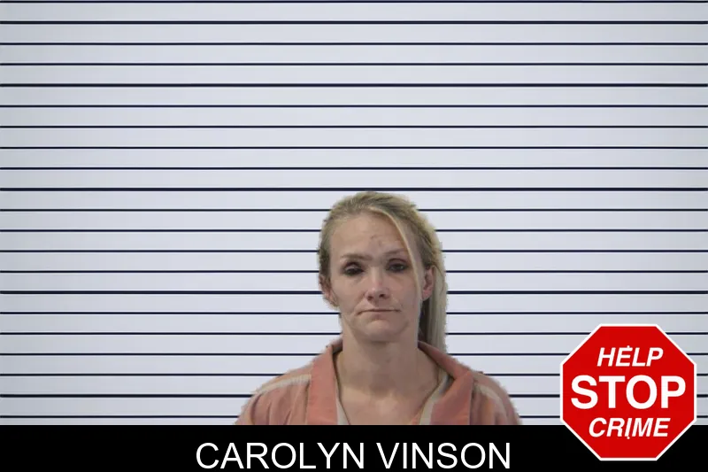 Carolyn Vinson mugshot – Stephens County , Georgia Carolyn Vinson mugshot