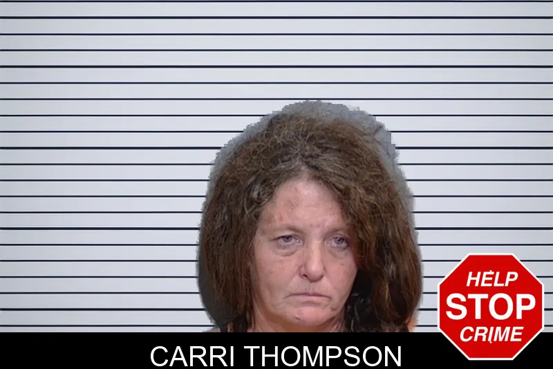 Carri Thompson mugshot – Glynn County , Georgia Carri Thompson mugshot