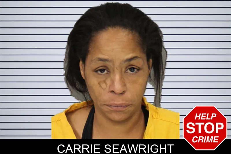 Carrie Seawright mugshot
