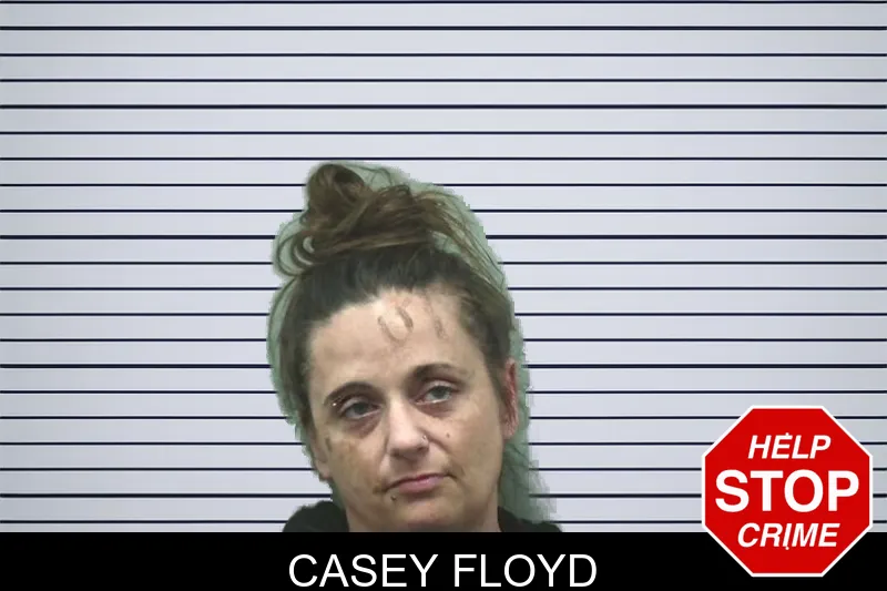 Casey Floyd mugshot – Bleckley County , Georgia Casey Floyd mugshot