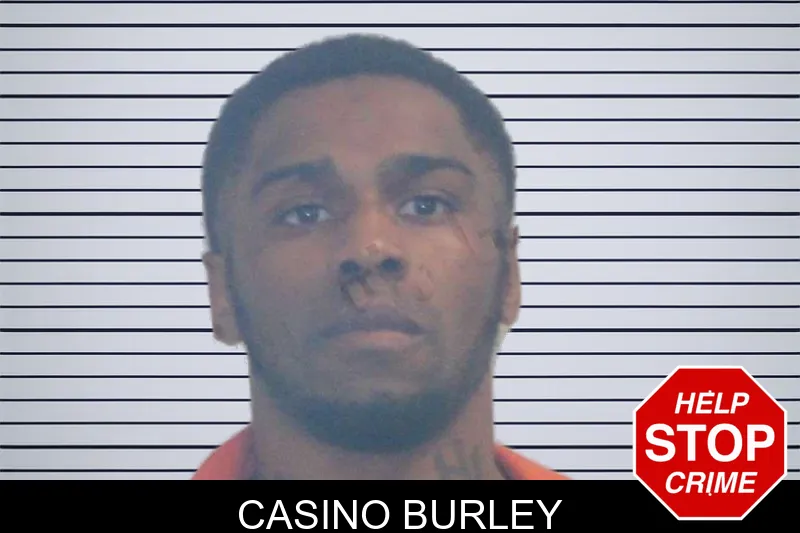 Casino Burley mugshot