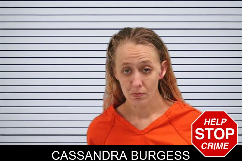 Cassandra Burgess mugshot – Grady County , Georgia Cassandra Burgess mugshot