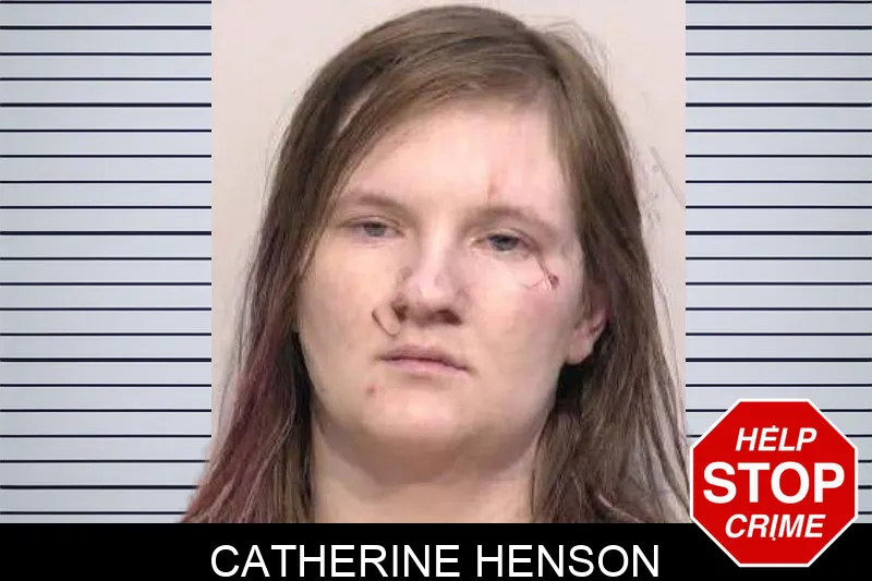 Catherine Henson mugshot – Bartow County , Georgia Catherine Henson mugshot