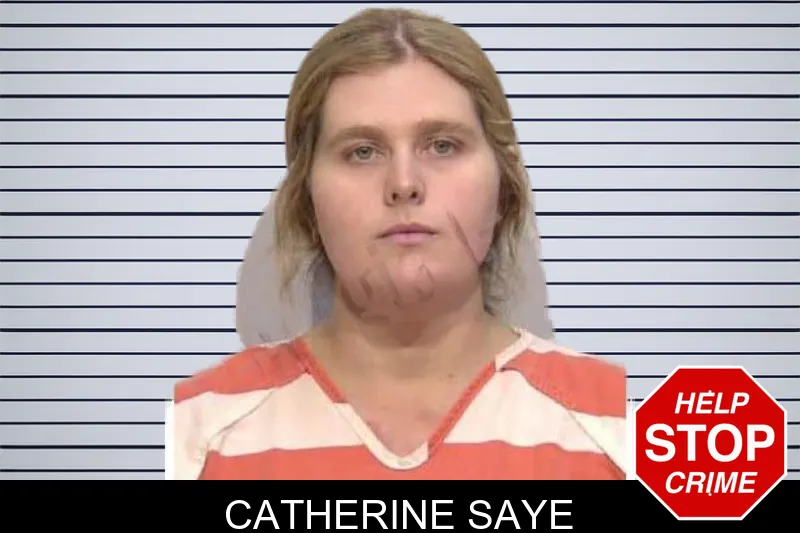 Catherine Saye mugshot – Bartow County , Georgia Catherine Saye mugshot