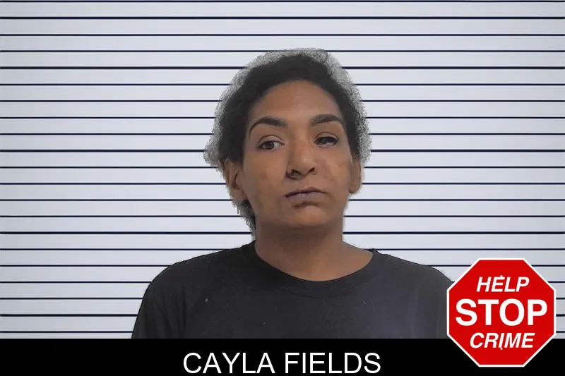Cayla Fields mugshot – Oconee County , Georgia Cayla Fields mugshot