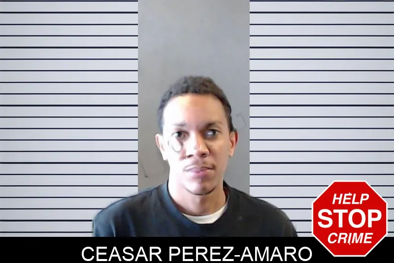 Ceasar Perez-Amaro mugshot – DeKalb County , Georgia Ceasar Perez-Amaro mugshot