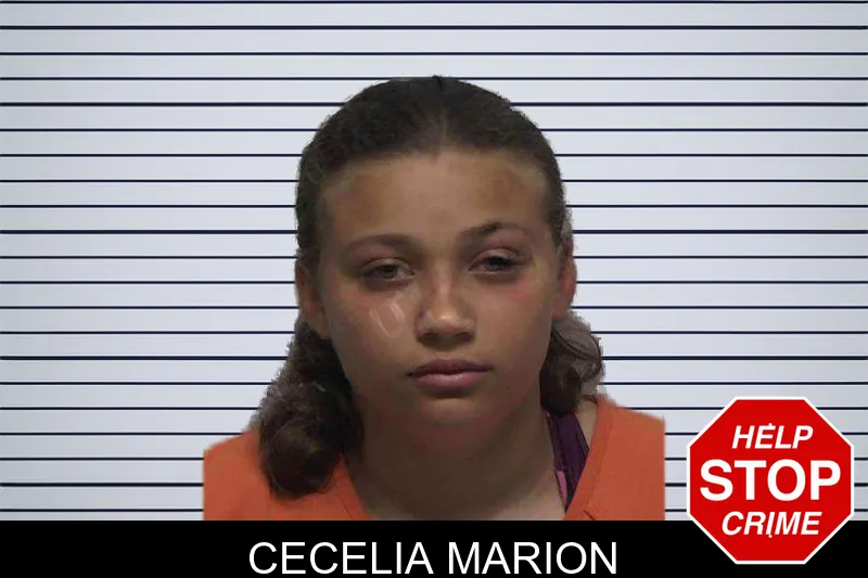 Cecelia Marion mugshot