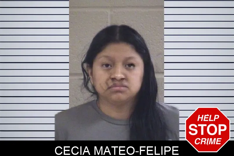 Cecia Mateo-Felipe mugshot