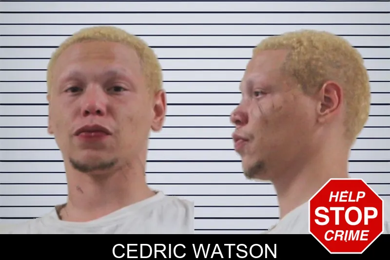 Cedric Watson mugshot – Houston County , Georgia Cedric Watson mugshot