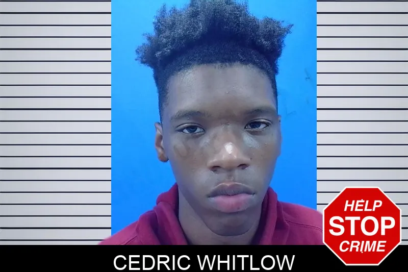 Cedric Whitlow mugshot – Troup County , Georgia Cedric Whitlow mugshot