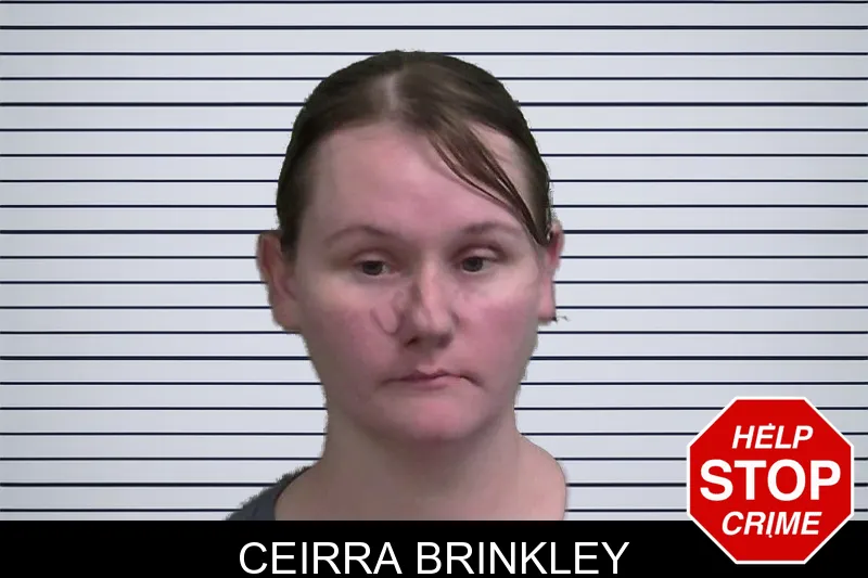 Ceirra Brinkley mugshot – Wayne County , Georgia Ceirra Brinkley mugshot