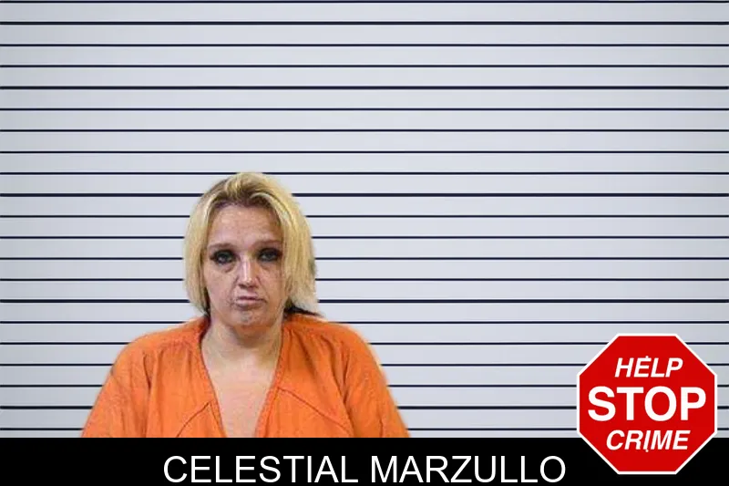 Celestial Marzullo mugshot – Polk County , Georgia Celestial Marzullo mugshot