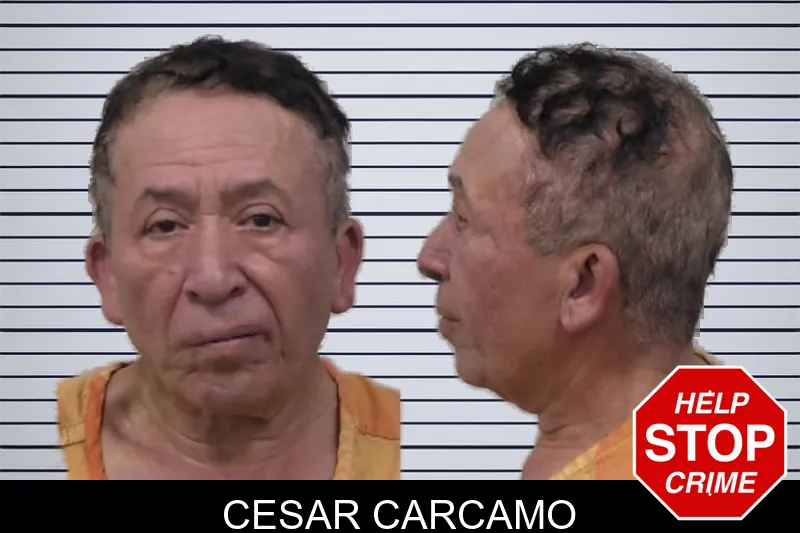 Cesar Carcamo mugshot – Paulding County , Georgia Cesar Carcamo mugshot