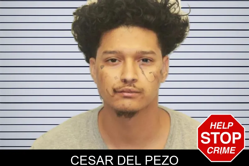Cesar Del Pezo mugshot
