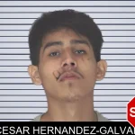 Cesar Hernandez-Galvan mugshot – Douglas County , Georgia Cesar Hernandez-Galvan mugshot