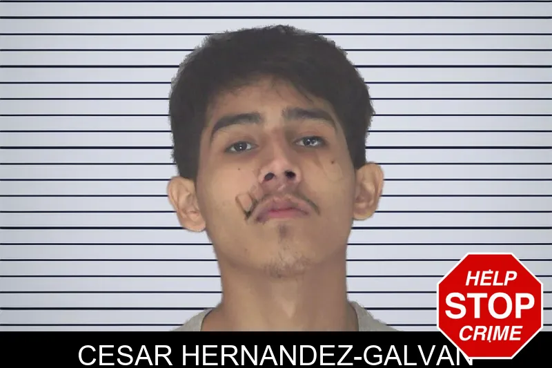 Cesar Hernandez-Galvan mugshot – Douglas County , Georgia Cesar Hernandez-Galvan mugshot