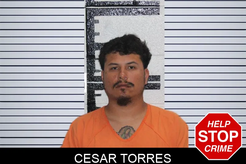 Cesar Torres mugshot