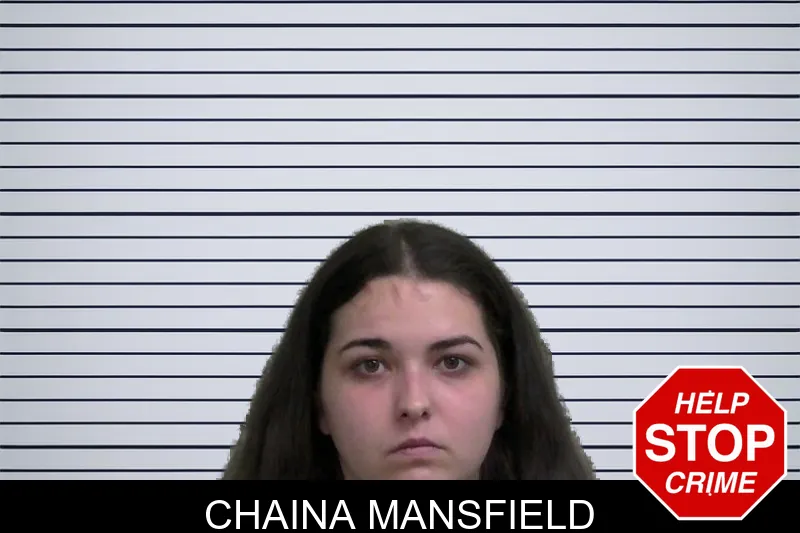 Chaina Mansfield mugshot – Wayne County , Georgia Chaina Mansfield mugshot