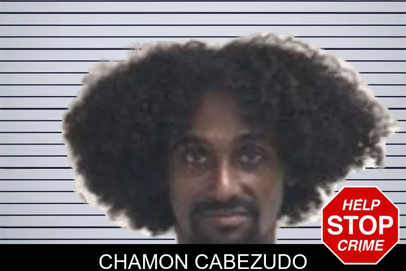 Chamon Cabezudo mugshot – Henry County , Georgia Chamon Cabezudo mugshot