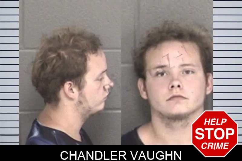 Chandler Vaughn mugshot – Barrow County , Georgia Chandler Vaughn mugshot
