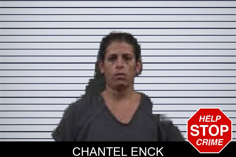 Chantel Enck mugshot – Banks County , Georgia Chantel Enck mugshot