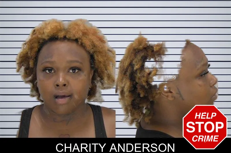 Charity Anderson mugshot
