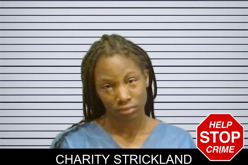 Charity Strickland mugshot – Fulton County , Georgia Charity Strickland mugshot