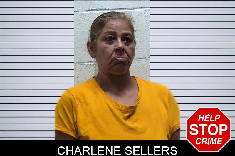 Charlene Sellers mugshot – Pierce County , Georgia Charlene Sellers mugshot