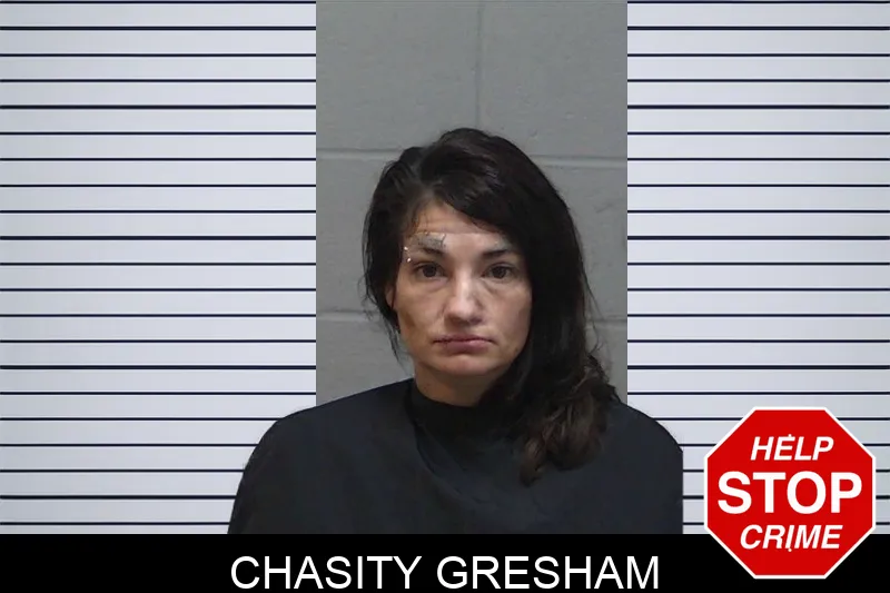 Chasity Gresham mugshot – Madison County , Georgia Chasity Gresham mugshot
