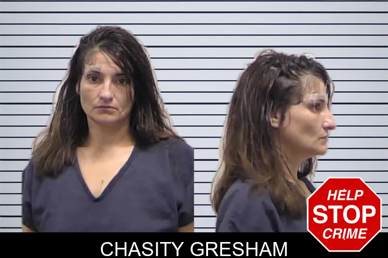 Chasity Gresham mugshot – Clarke County , Georgia Chasity Gresham mugshot