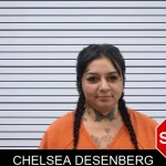 Chelsea Desenberg mugshot