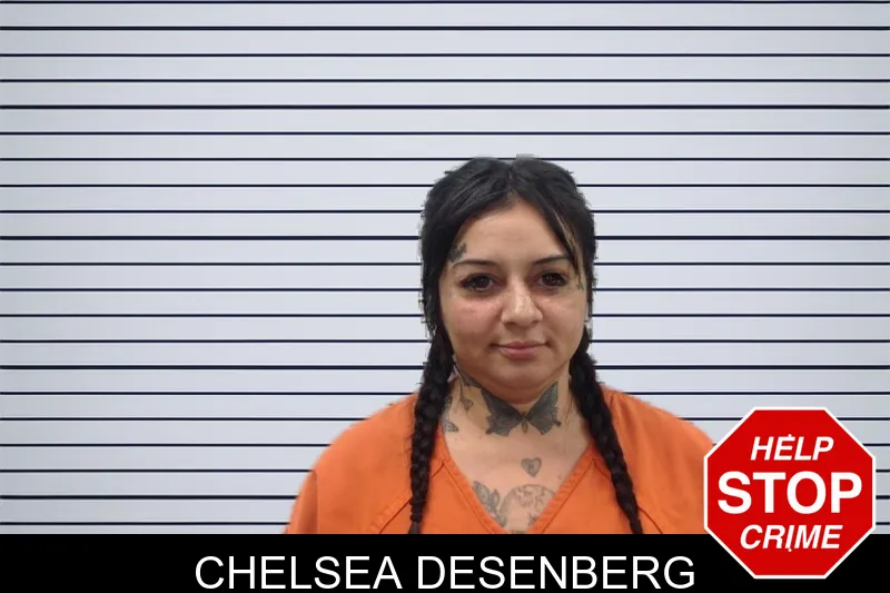 Chelsea Desenberg mugshot