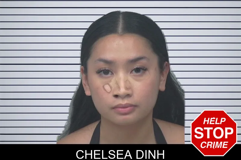 Chelsea Dinh mugshot – Gwinnett County , Georgia Chelsea Dinh mugshot