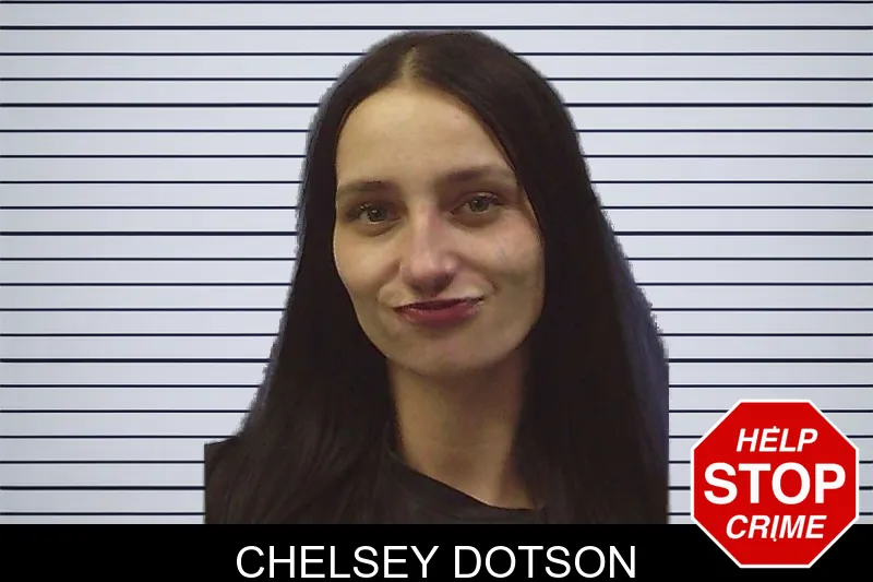 Chelsey Dotson mugshot – Chattooga County , Georgia Chelsey Dotson mugshot