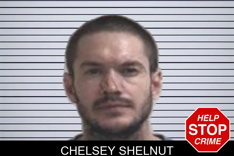 Chelsey Shelnut mugshot – Henry County , Georgia Chelsey Shelnut mugshot