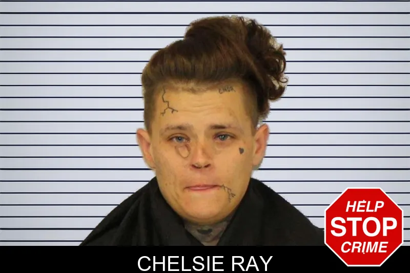 Chelsie Ray mugshot – Carroll County , Georgia Chelsie Ray mugshot