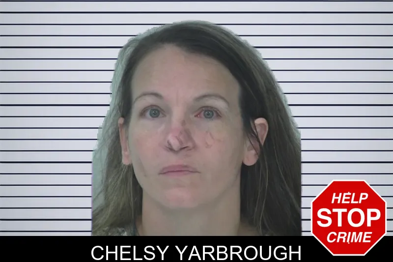 Chelsy Yarbrough mugshot – Fayette County , Georgia Chelsy Yarbrough mugshot