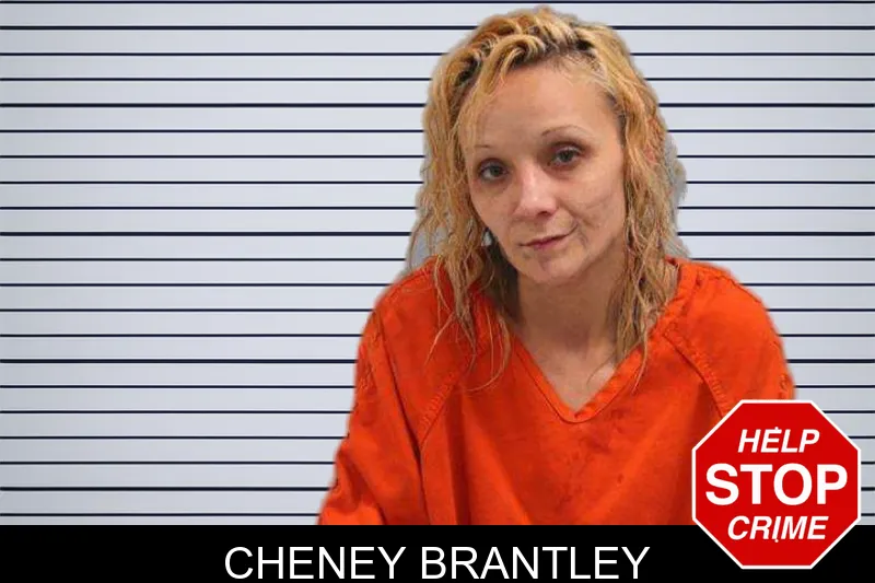 Cheney Brantley mugshot – Grady County , Georgia Cheney Brantley mugshot