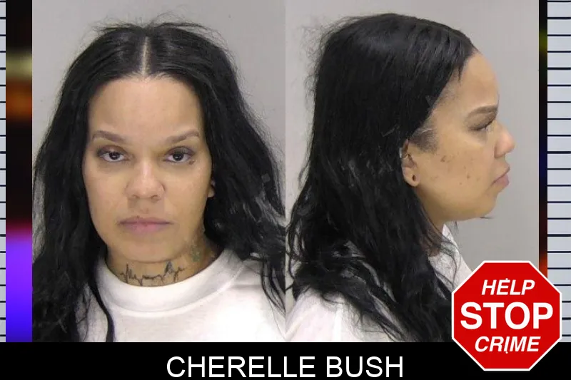 Cherelle Bush mugshot – Richmond County , Georgia Cherelle Bush mugshot